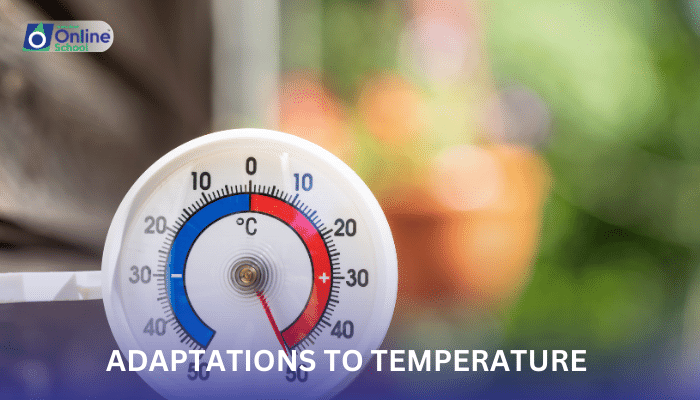 Lesson 15: Adaptations to Temperature Extremes